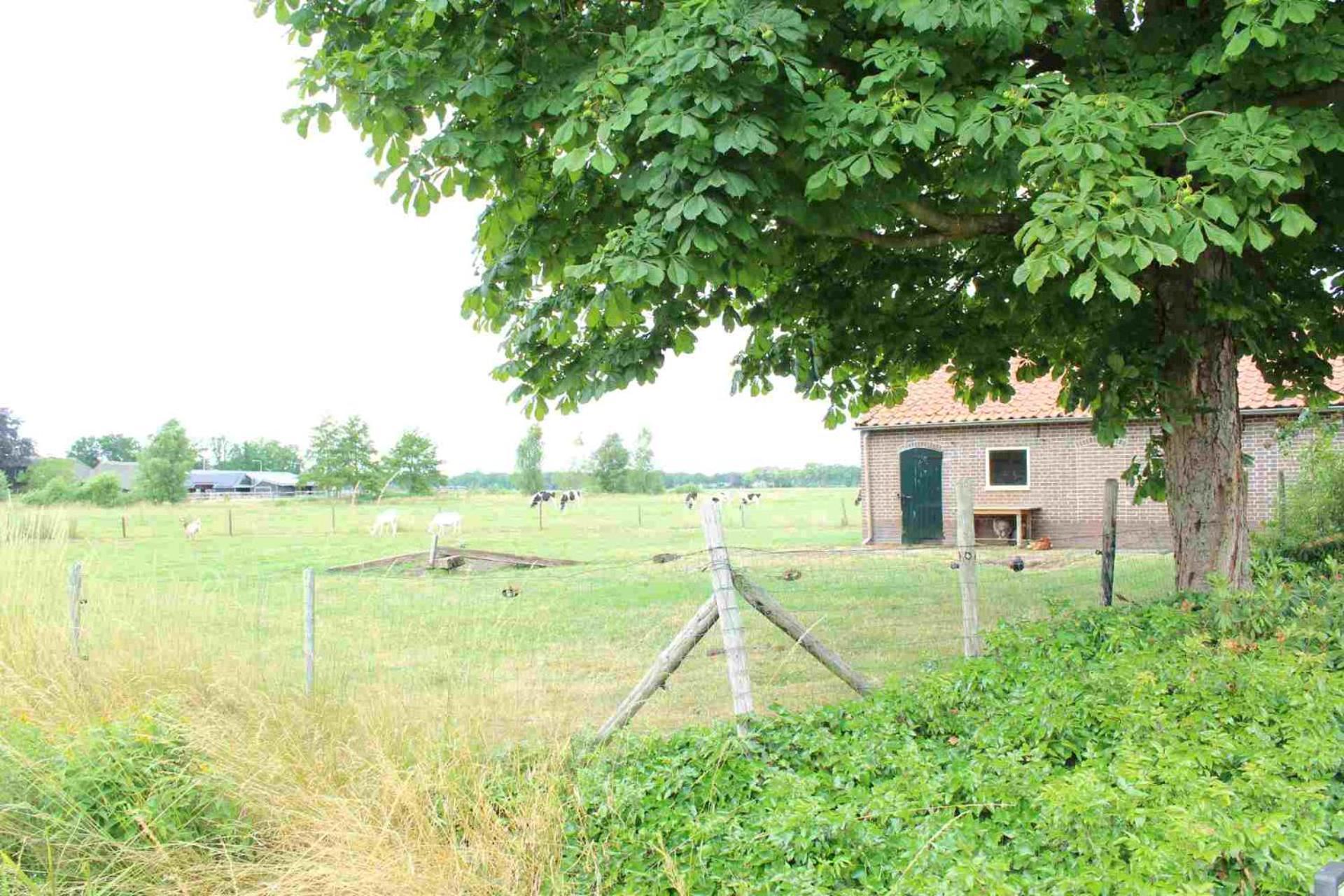 Hofstay195 Achterveld Esterno foto